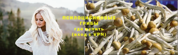 метадон Новозыбков