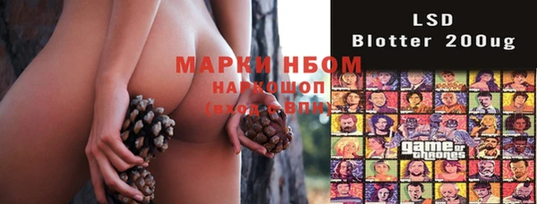 ECSTASY Новодвинск