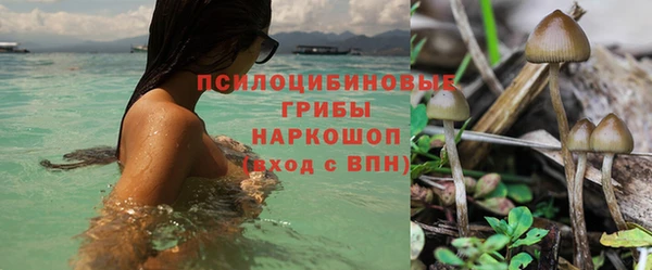 метадон Новозыбков