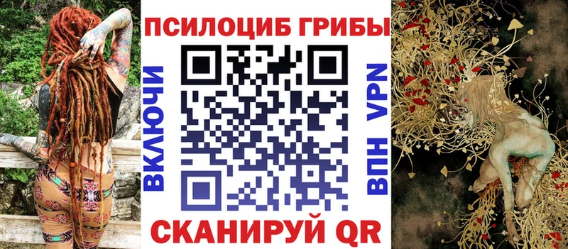 Псилоцибиновые грибы Psilocybe  наркошоп  Уварово 