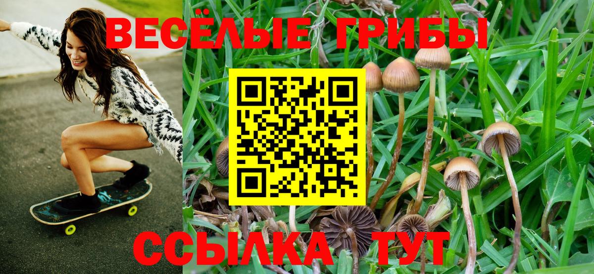 Псилоцибиновые грибы Cubensis Уварово